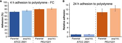 Characterization of Awp14, A Novel Cluster III Adhesin Identified in a High Biofilm-Forming Candida glabrata Isolate